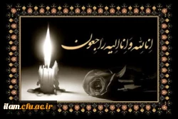 تسلیت به همکار