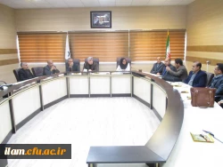 هم اندیشی ریاضی