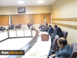 هم اندیشی ریاضی