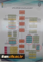 مراحل بالندگی حرفه ای