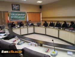 نشست توجیهی دوره مهارت آموزی و تبیین جزئیات اصلح