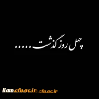 چهل روز گذشت