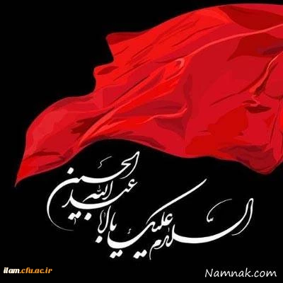 خدمت رسانی به زائران اربعین حسینی (ع) در موکب دانشگاه فرهنگیان ایلام