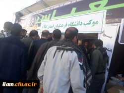 موکب دانشگاه