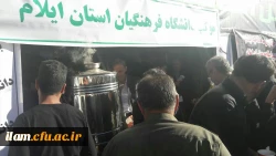 موکب دانشگاه