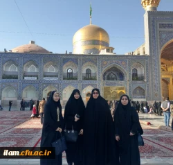 جشنواره رویش