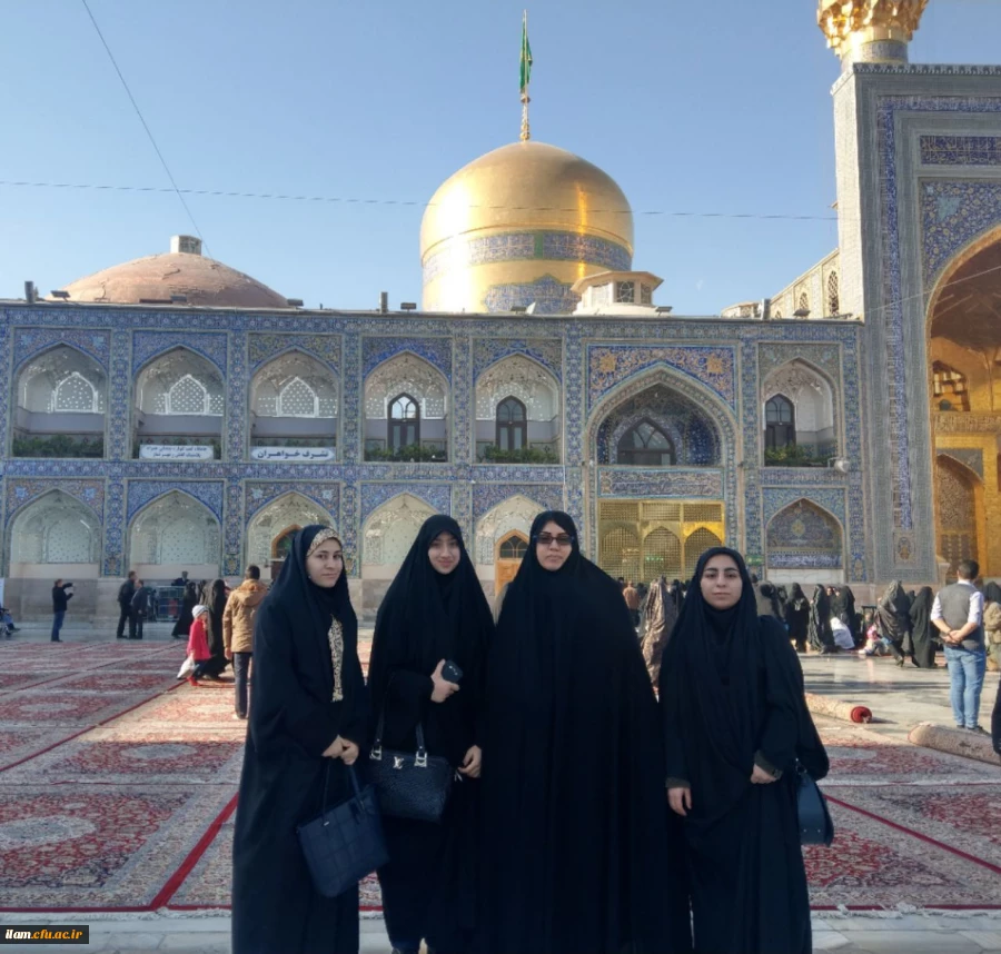 جشنواره رویش