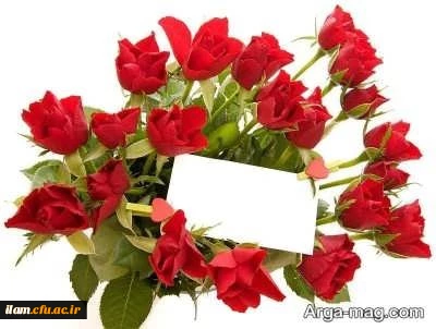 تبریک موفقیت اخذ درجه دکتری به جناب آقای دکتر حجت اقبالی