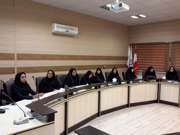 برگزاری کارگاه های بین المللی سازی دانشگاه 