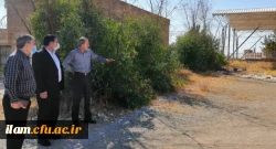 بازدید رئیس امور استان ها و مناطق سازمان برنامه و بودجه کشور از دانشگاه فرهنگیان استان ایلام