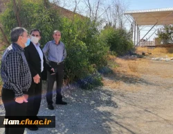 بازدید دکتر علیرضا نعمتی رئیس امور استان ها و مناطق سازمان برنامه و بودجه کشور از دانشگاه فرهنگیان استان ایلام