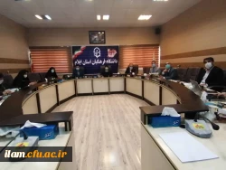 کارگاه آموزشی فراتحلیل با نرم افزار CMA 