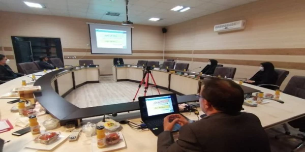 کارگاه آموزشی سواد رسانه ای توسط بسیج اساتید دانشگاه فرهنگیان استان ایلام برگزار گردید 2