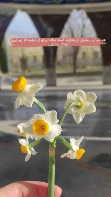 اعزام دانشجو معلمان پردیس امام جعفر صادق (ع) ایلام به مناطق عملیاتی جنوب کشور 2