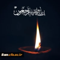 هوالباقی:
پیام تسلیت
 2