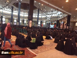 شرکت کارکنان و اعضای هیئت علمی دانشگاه فرهنگیان استان ایلام در همایش بزرگ خادمین اربعین 4