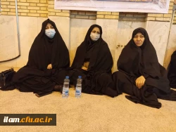 شرکت کارکنان و اعضای هیئت علمی دانشگاه فرهنگیان استان ایلام در همایش بزرگ خادمین اربعین 5