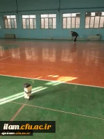 برگزاری مسابقات ورزشی به مناسبت هفته تربیت بدنی 6