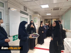 تجلیل از خدمات پرستاران بیمارستان طالقانی ایلام به مناسبت میلاد حضرت زینب (س) و روز پرستار 2