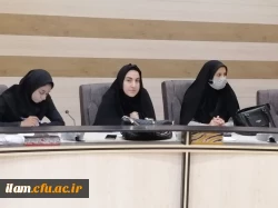 برگزاری جلسه هماهنگی بارگذاری مستندات رهنامه چهل ماده ای در دوره ارزیابی 1402-1401 6
