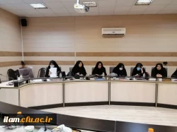 دفتر هم اندیشی و بسیج اساتید دانشگاه فرهنگیان استان ایلام برگزار نمود: 15