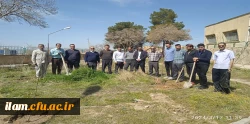 کاشت صد اصله نهال در پردیس شهید مدرس به مناسبت هفته درختکاری

 2