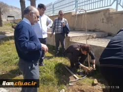 کاشت صد اصله نهال در پردیس شهید مدرس به مناسبت هفته درختکاری

 2