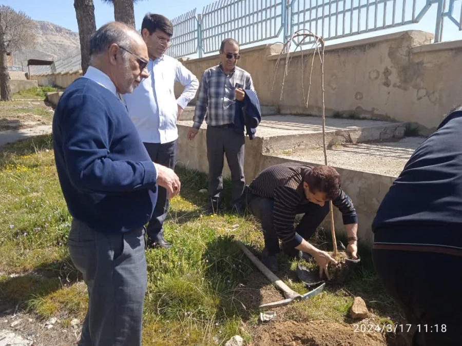 کاشت صد اصله نهال در پردیس شهید مدرس به مناسبت هفته درختکاری

 2