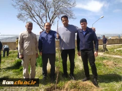 کاشت صد اصله نهال در پردیس شهید مدرس به مناسبت هفته درختکاری

 2