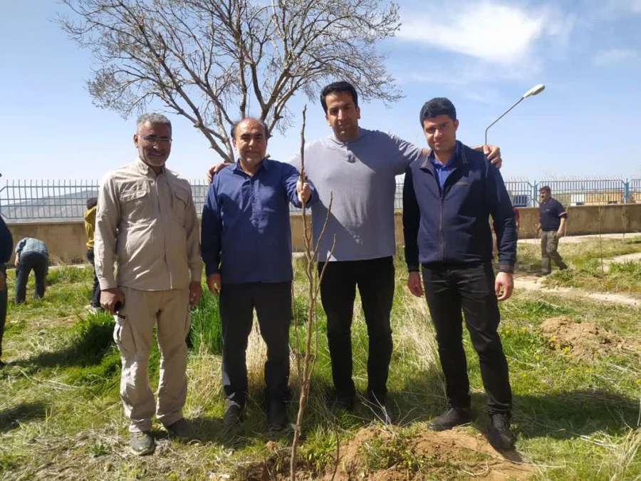 کاشت صد اصله نهال در پردیس شهید مدرس به مناسبت هفته درختکاری

 2