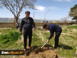 کاشت صد اصله نهال در پردیس شهید مدرس به مناسبت هفته درختکاری

 2