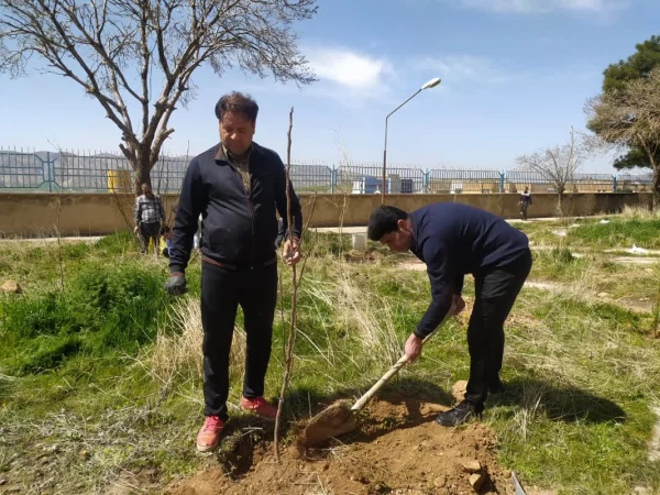 کاشت صد اصله نهال در پردیس شهید مدرس به مناسبت هفته درختکاری

 2