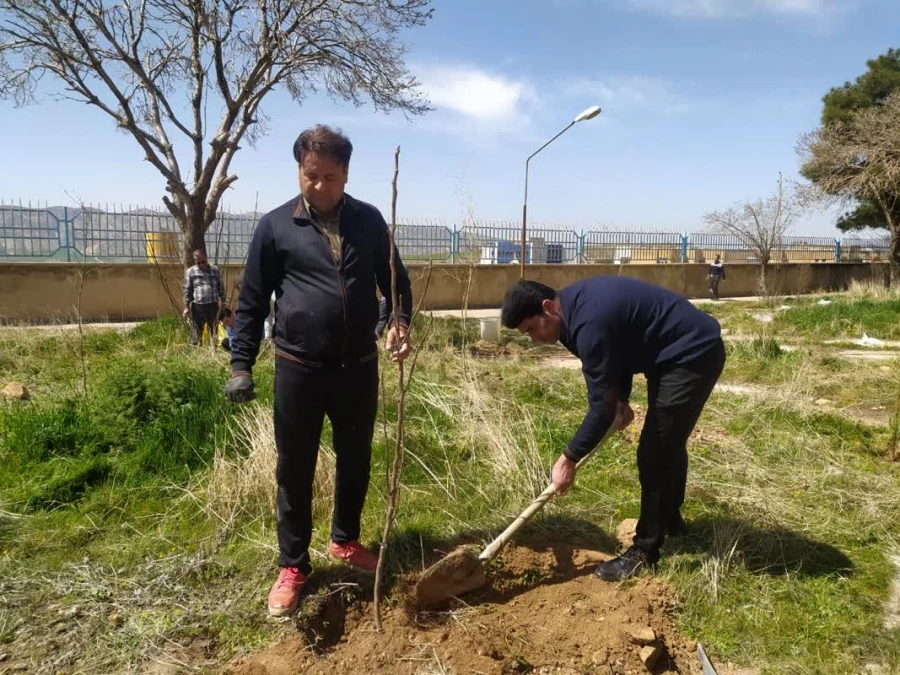 کاشت صد اصله نهال در پردیس شهید مدرس به مناسبت هفته درختکاری

 2