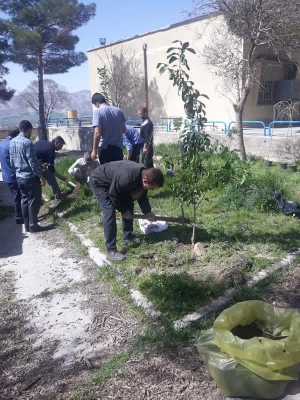 کاشت صد اصله نهال در پردیس شهید مدرس به مناسبت هفته درختکاری

 2