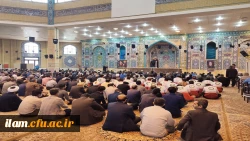 حضور اساتید، کارکنان و دانشجو معلمان دانشگاه فرهنگیان استان ایلام در مراسم مردمی شهادت ریاست جمهوری و همراهان 3