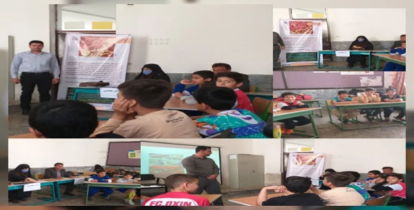 آغاز به کار مرحله ی استانی دوازدهمین جشنواره تدریس برتر دانشجویان دانشگاه فرهنگیان ایلام 3