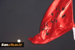 موکب الغدیر